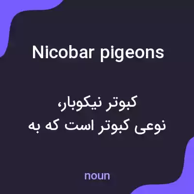 معنی nicobar pigeons به فارسی معنی nicobar pigeons به فارسی