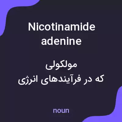 معنی nicotinamide adenine dinucleotide به فارسی معنی nicotinamide adenine dinucleotide به فارسی