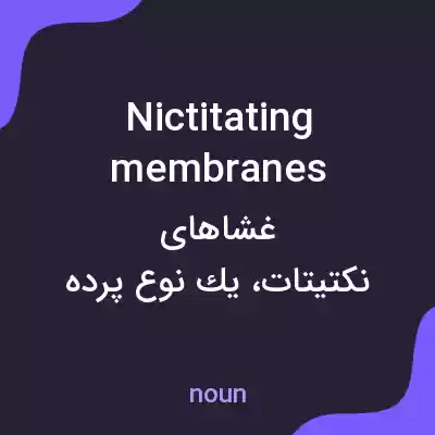 معنی nictitating membranes به فارسی معنی nictitating membranes به فارسی