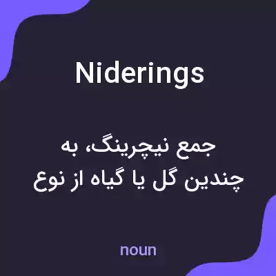 معنی niderings به فارسی معنی niderings به فارسی