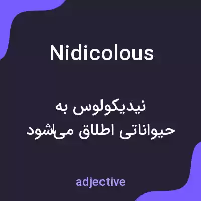 معنی nidicolous به فارسی معنی nidicolous به فارسی