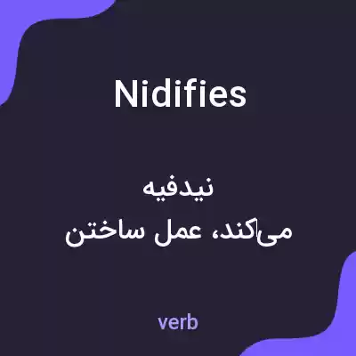 معنی nidifies به فارسی معنی nidifies به فارسی