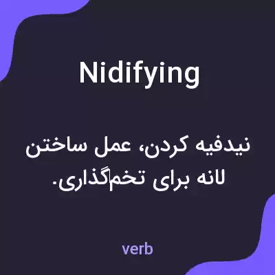معنی nidifying به فارسی معنی nidifying به فارسی