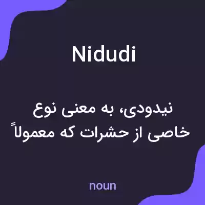 معنی nidudi به فارسی معنی nidudi به فارسی
