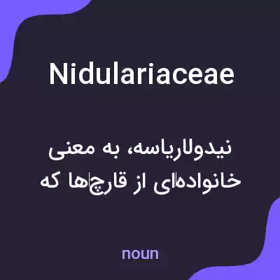 معنی nidulariaceae به فارسی معنی nidulariaceae به فارسی