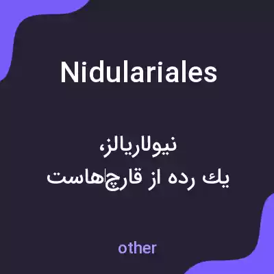 معنی nidulariales به فارسی معنی nidulariales به فارسی