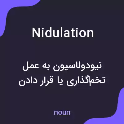 معنی nidulation به فارسی معنی nidulation به فارسی