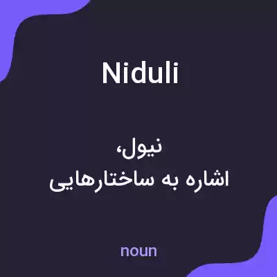 معنی niduli به فارسی معنی niduli به فارسی