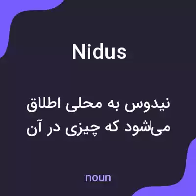 معنی nidus به فارسی
