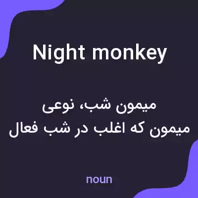 معنی night monkey به فارسی معنی night monkey به فارسی