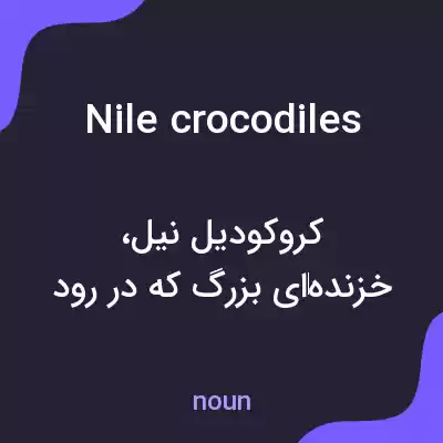 معنی nile crocodiles به فارسی معنی nile crocodiles به فارسی