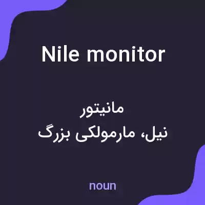 معنی nile monitor به فارسی معنی nile monitor به فارسی