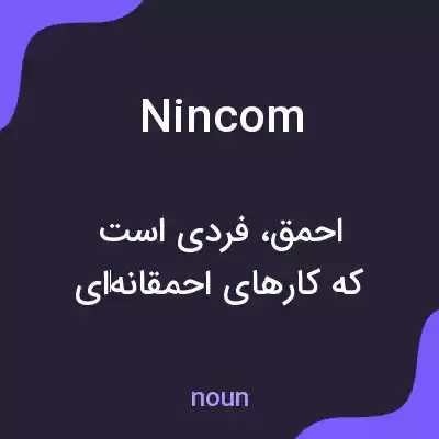 معنی nincom به فارسی
