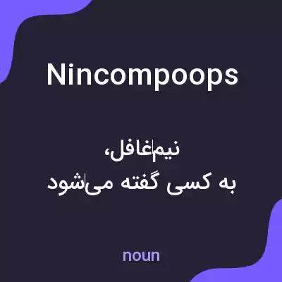 معنی nincompoops به فارسی معنی nincompoops به فارسی