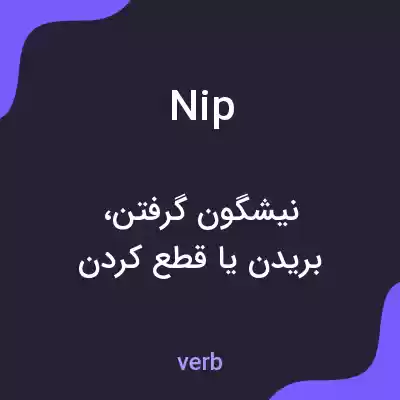 معنی nip به فارسی معنی nip به فارسی