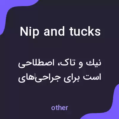معنی nip and tucks به فارسی معنی nip and tucks به فارسی