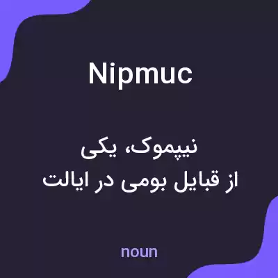 معنی nipmuc به فارسی معنی nipmuc به فارسی