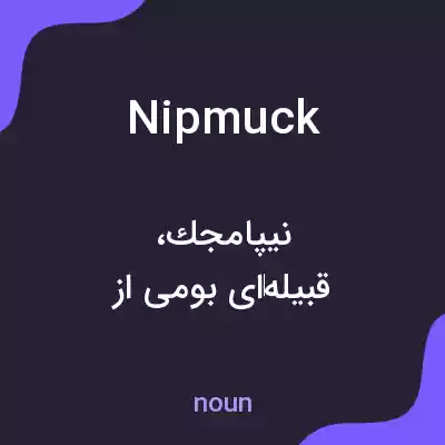 معنی nipmuck به فارسی معنی nipmuck به فارسی