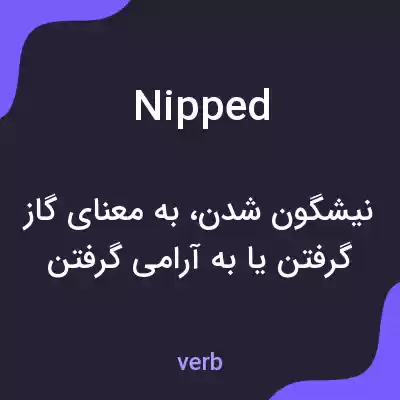 معنی nipped به فارسی معنی nipped به فارسی