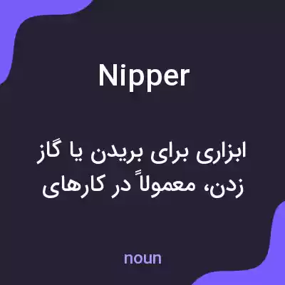 معنی nipper به فارسی معنی nipper به فارسی