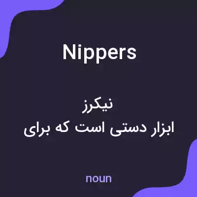 معنی nippers به فارسی معنی nippers به فارسی