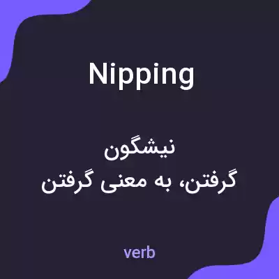 معنی nipping به فارسی