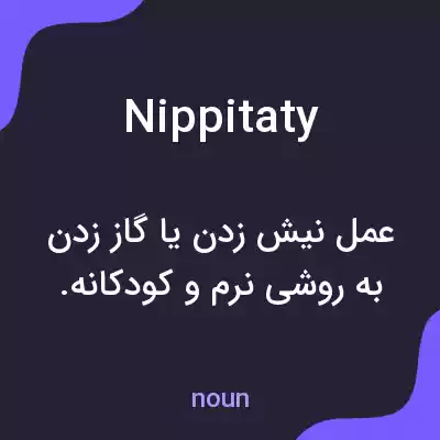 معنی nippitaty به فارسی معنی nippitaty به فارسی