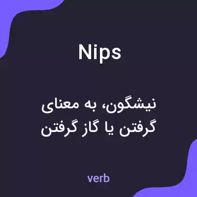 معنی nips به فارسی معنی nips به فارسی