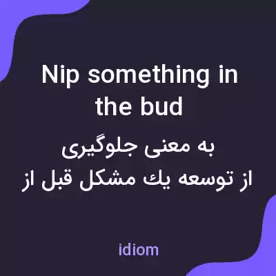 معنی nip something in the bud به فارسی معنی nip something in the bud به فارسی