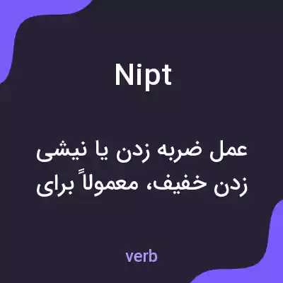 معنی nipt به فارسی معنی nipt به فارسی