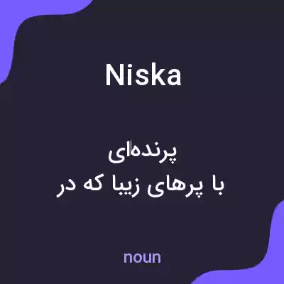 معنی niska به فارسی معنی niska به فارسی