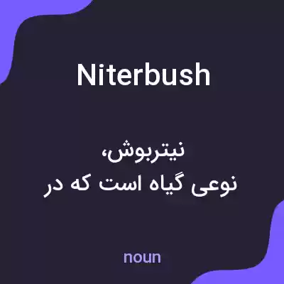 معنی niterbush به فارسی معنی niterbush به فارسی