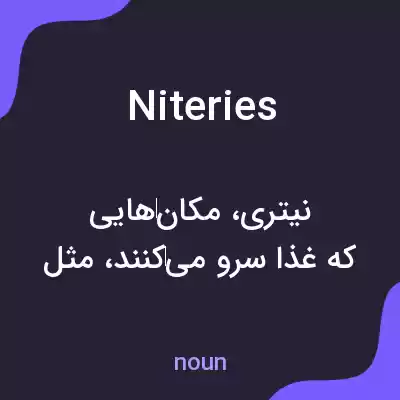 معنی niteries به فارسی
