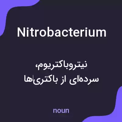 معنی nitrobacterium به فارسی معنی nitrobacterium به فارسی