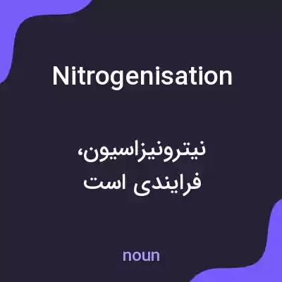 معنی nitrogenisation به فارسی معنی nitrogenisation به فارسی