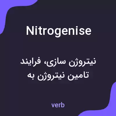 معنی nitrogenise به فارسی