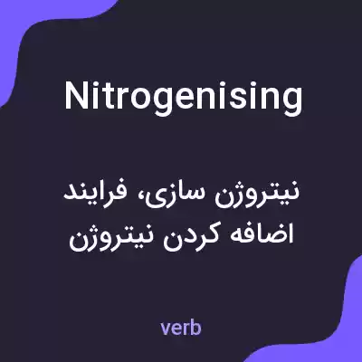 معنی nitrogenising به فارسی معنی nitrogenising به فارسی