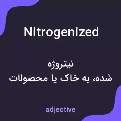 معنی nitrogenized به فارسی