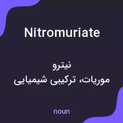 معنی nitromuriate به فارسی معنی nitromuriate به فارسی