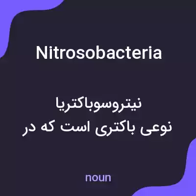 معنی nitrosobacteria به فارسی معنی nitrosobacteria به فارسی