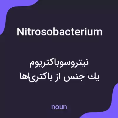 معنی nitrosobacterium به فارسی معنی nitrosobacterium به فارسی