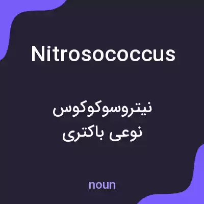 معنی nitrosococcus به فارسی معنی nitrosococcus به فارسی