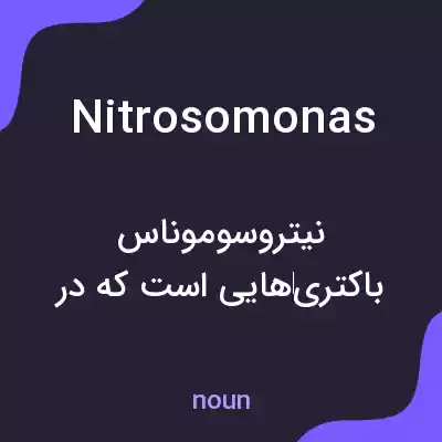 معنی nitrosomonas به فارسی معنی nitrosomonas به فارسی