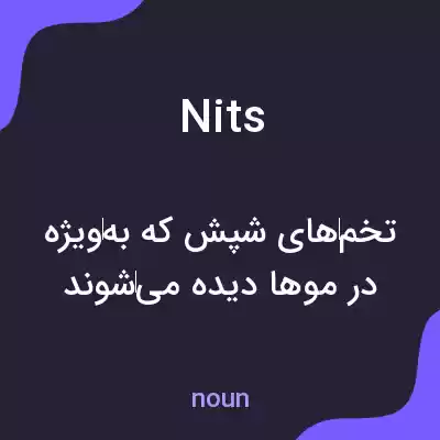 معنی nits به فارسی معنی nits به فارسی