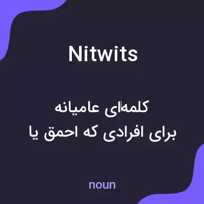 معنی nitwits به فارسی معنی nitwits به فارسی