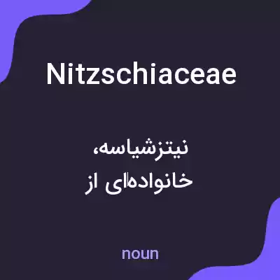معنی nitzschiaceae به فارسی معنی nitzschiaceae به فارسی