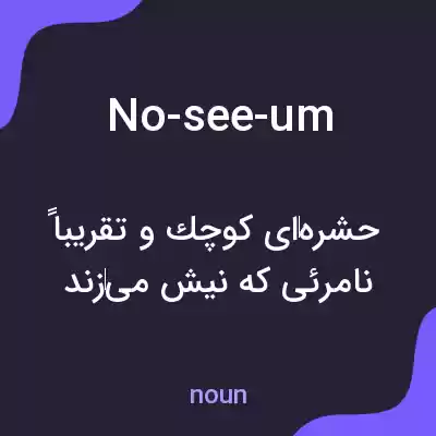 معنی no-see-um به فارسی معنی no-see-um به فارسی