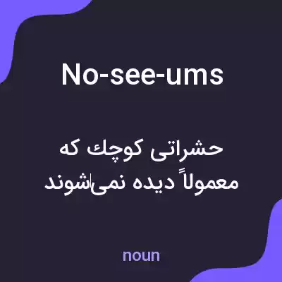 معنی no-see-ums به فارسی