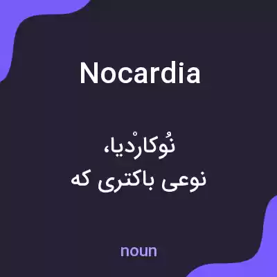 معنی nocardia به فارسی معنی nocardia به فارسی