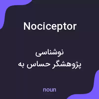 معنی nociceptor به فارسی معنی nociceptor به فارسی